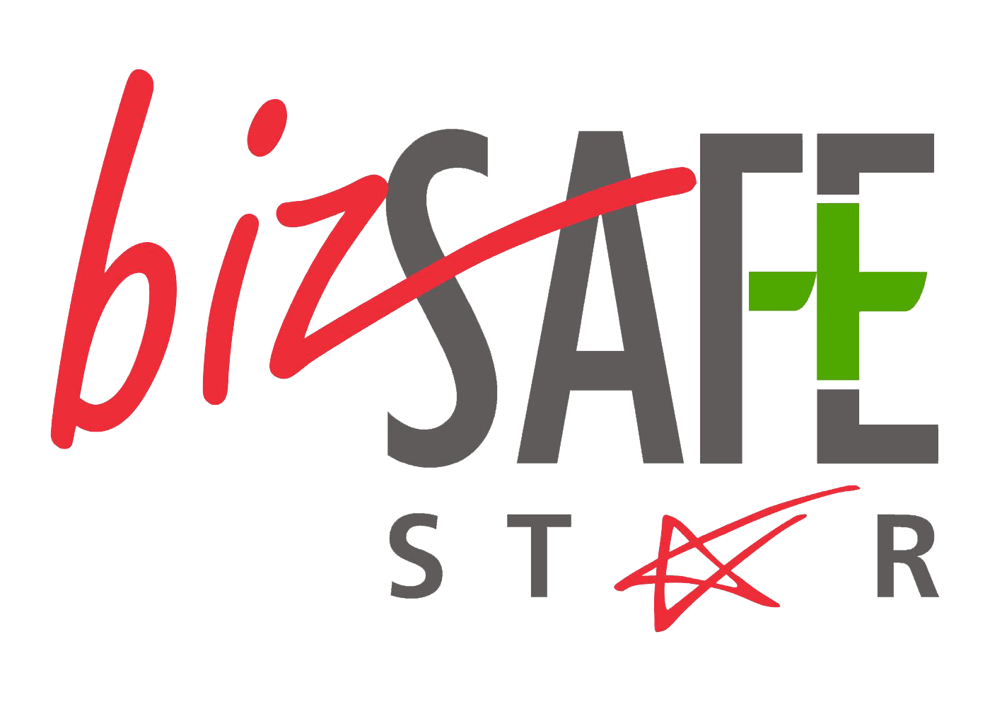 bizSAFE Star recognition badge displayed on the legacy Leo Tech website